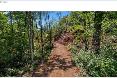 Ne Berry Rd, Battle Ground, WA 98604 - Photo 12