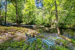 49091 Salt Creek Rd, Oakridge, OR 97463 - Photo 6