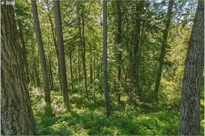 2425 Archwood Dr, Longview, WA 98632 - Photo 46