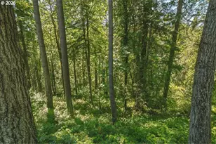 2425 Archwood Dr, Longview, WA 98632 - Photo 46