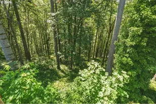 2425 Archwood Dr, Longview, WA 98632 - Photo 42