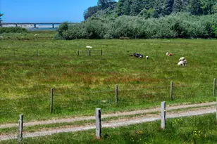 94665 N Bank Pistol River Rd, Gold Beach, OR 97444 - Photo 6