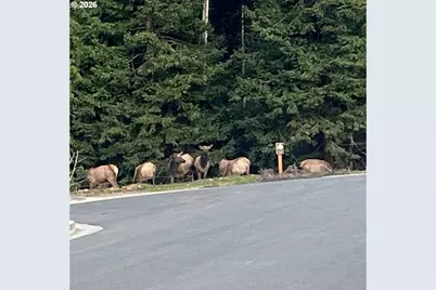 1425 Seacrest Ln #4D, Brookings, OR 97415 - Photo 26