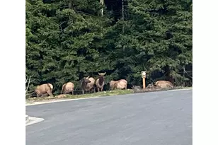 1425 Seacrest Ln, Brookings, OR 97415 - Photo 26