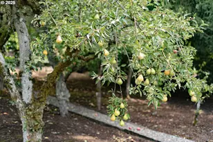 3840 SW Martins Ln, Portland, OR 97239 - Photo 44