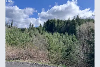 Palm Hill Rd, Clatskanie, OR 97016 - Photo 10
