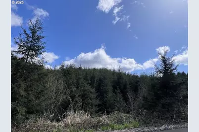 Palm Hill Rd, Clatskanie, OR 97016 - Photo 8