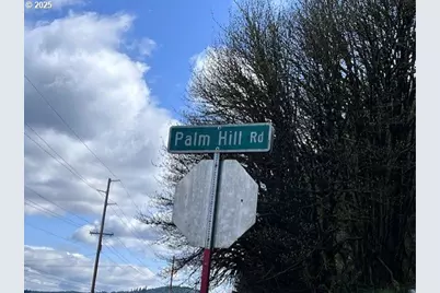 Palm Hill Rd, Clatskanie, OR 97016 - Photo 6