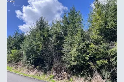 Palm Hill Rd, Clatskanie, OR 97016 - Photo 2