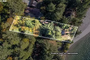 10 W Cape Horn Rd, Cathlamet, WA 98612 - Photo 34