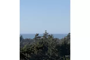 700 Quattomah Ln, Port Orford, OR 97465 - Photo 10