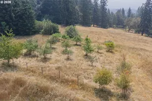26221 Old Holley Rd, Sweet Home, OR 97386 - Photo 42