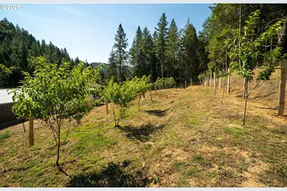 3902 S Myrtle Rd, Myrtle Creek, OR 97457 - Photo 32