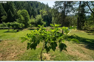 3902 S Myrtle Rd, Myrtle Creek, OR 97457 - Photo 34