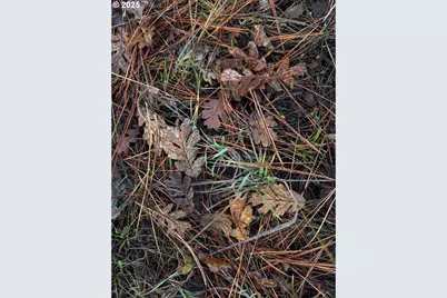 0 Valley Rd, Dufur, OR 97021 - Photo 30