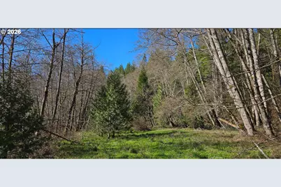 0 Caves Hwy, Cave Junction, OR 97523 - Photo 8