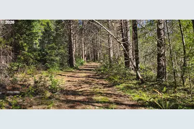 0 Caves Hwy, Cave Junction, OR 97523 - Photo 6