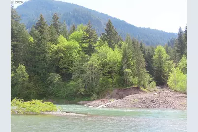 295 River Ranch Rd, Randle, WA 98377 - Photo 2