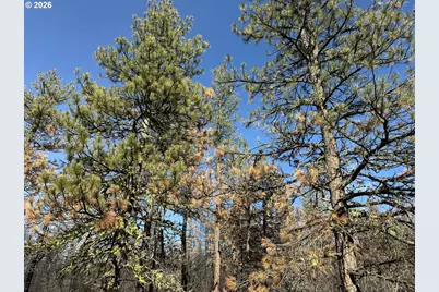 Hummingbird Dr #4, Bonanza, OR 97623 - Photo 20