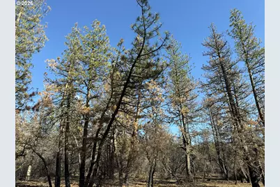 Hummingbird Dr #4, Bonanza, OR 97623 - Photo 26