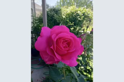 2026 Lake Isle Dr, Eugene, OR 97401 - Photo 28