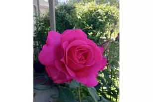 2026 Lake Isle Dr, Eugene, OR 97401 - Photo 28