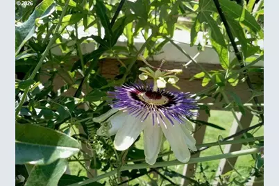 2026 Lake Isle Dr, Eugene, OR 97401 - Photo 30