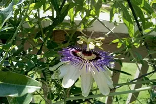 2026 Lake Isle Dr, Eugene, OR 97401 - Photo 30