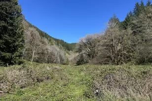 1910 Otter Slough Rd, Reedsport, OR 97467 - Photo 34