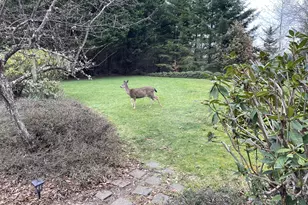 17130 Eastwood Ln, Brookings, OR 97415 - Photo 42