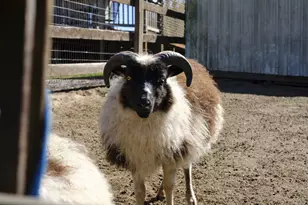 11700 NE 279th St, Battle Ground, WA 98604 - Photo 28