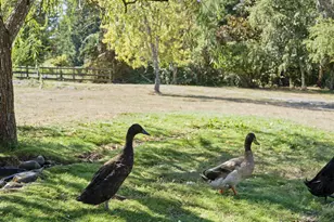 11700 NE 279th St, Battle Ground, WA 98604 - Photo 26