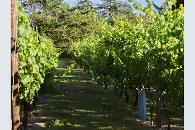 11700 NE 279th St, Battle Ground, WA 98604 - Photo 18