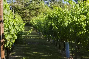 11700 NE 279th St, Battle Ground, WA 98604 - Photo 18