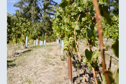 11700 NE 279th St, Battle Ground, WA 98604 - Photo 44