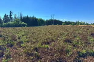 31601 S Yoder Rd, Hubbard, OR 97032 - Photo 12