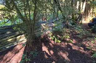 31601 S Yoder Rd, Hubbard, OR 97032 - Photo 10