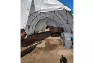 514 Eakin Rd, Azalea, OR 97410 - Photo 22