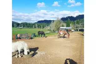 514 Eakin Rd, Azalea, OR 97410 - Photo 32