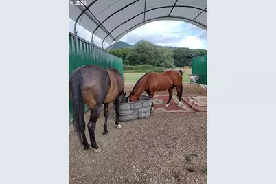 514 Eakin Rd, Azalea, OR 97410 - Photo 30