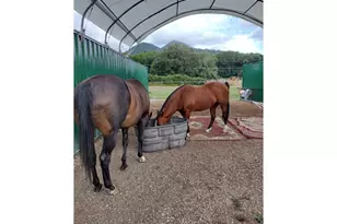 514 Eakin Rd, Azalea, OR 97410 - Photo 30