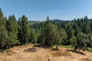 85241 Jessie Ln, Eugene, OR 97405 - Photo 10