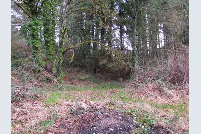 31191 New Kirk Rd, Scappoose, OR 97056 - Photo 6