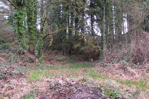 31191 New Kirk Rd, Scappoose, OR 97056 - Photo 6