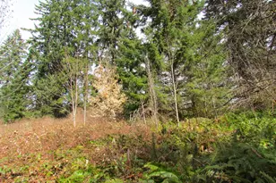 31191 New Kirk Rd, Scappoose, OR 97056 - Photo 8