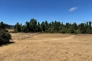 33465 Irish Ln, Creswell, OR 97426 - Photo 4