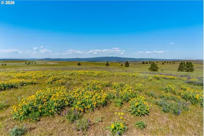1125 High Prairie Rd, Lyle, WA 98635 - Photo 46