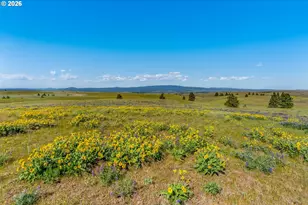 1125 High Prairie Rd, Lyle, WA 98635 - Photo 46