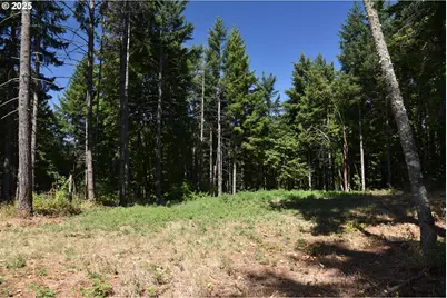 00 Mountain Rd, West Linn, OR 97068 - Photo 6