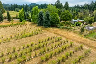 25113 S Ridge Rd, Beavercreek, OR 97004 - Photo 34
